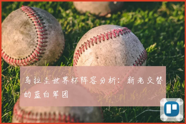 乌拉圭世界杯阵容分析:新老交替的蓝白军团